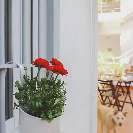 Apartamento Entreríos *